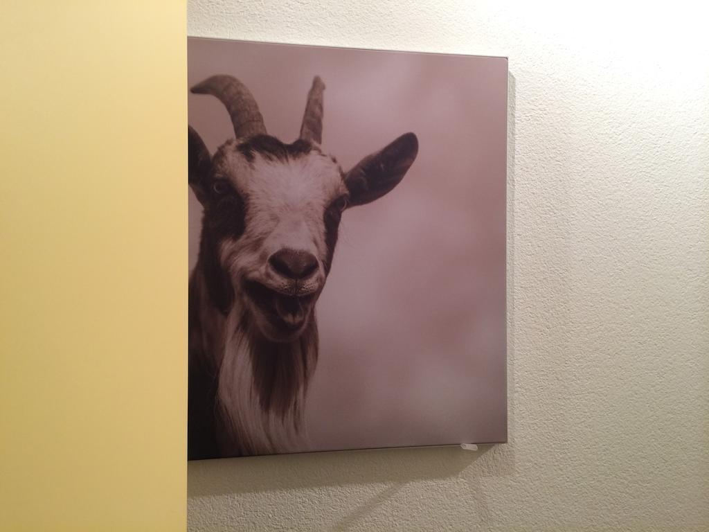 Apart Alps & Nature See Kamer foto